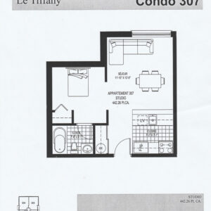 Suite 307